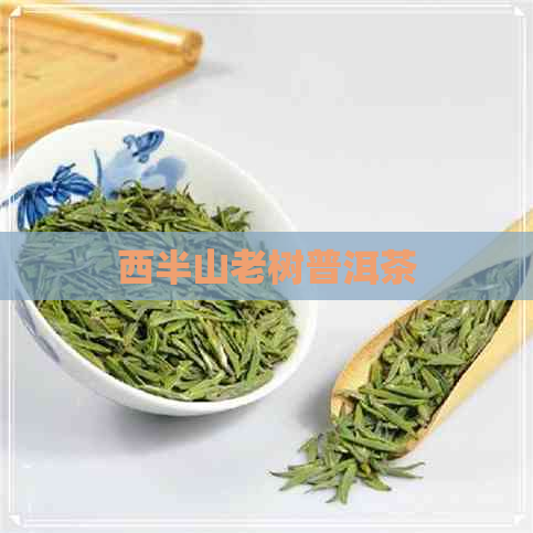 西半山老树普洱茶