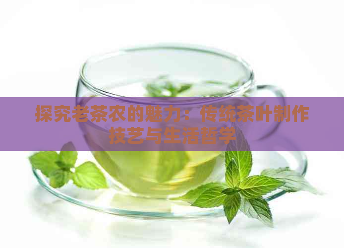 探究老茶农的魅力：传统茶叶制作技艺与生活哲学