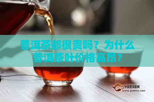 普洱茶都很贵吗？为什么普洱茶叶价格高昂？