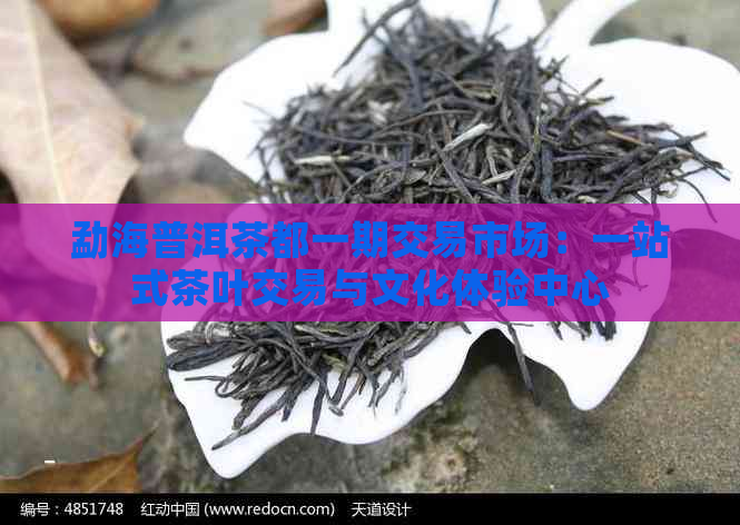 勐海普洱茶都一期交易市场：一站式茶叶交易与文化体验中心