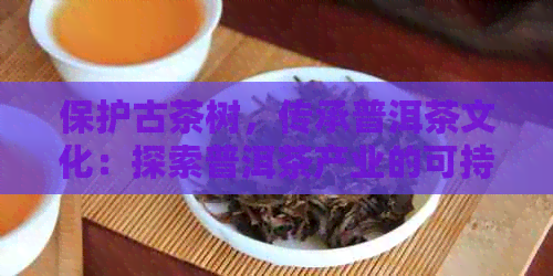 保护古茶树，传承普洱茶文化：探索普洱茶产业的可持续发展之路