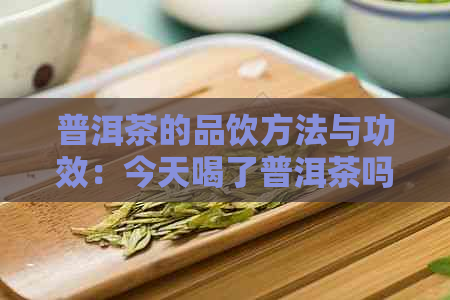 普洱茶的品饮方法与功效：今天喝了普洱茶吗？如何正确饮用普洱茶？