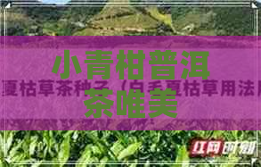 小青柑普洱茶唯美