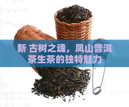 新 古树之魂，凤山普洱茶生茶的独特魅力