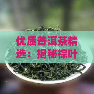 优质普洱茶精选：揭秘棕叶包装的特色茶品