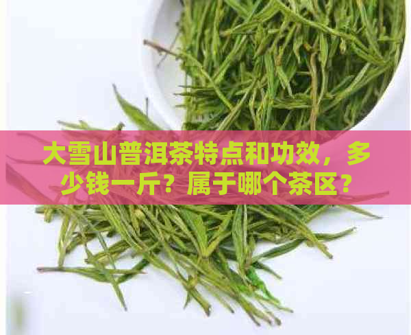 大雪山普洱茶特点和功效，多少钱一斤？属于哪个茶区？