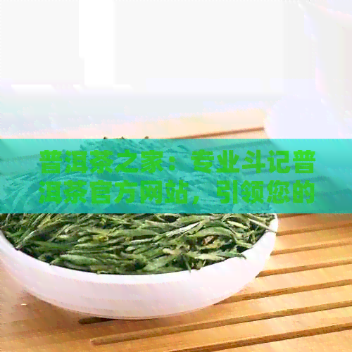 普洱茶之家：专业斗记普洱茶官方网站，引领您的品茗之旅