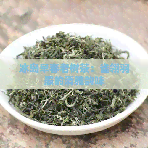 冰岛早春老树茶：雀翎羽般的清雅韵味