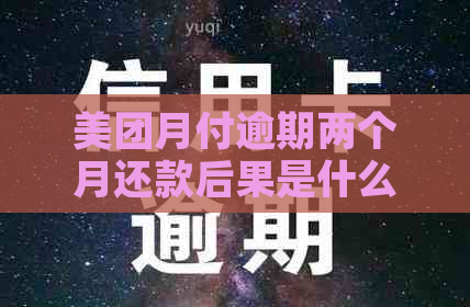 美团月付逾期两个月还款后果是什么？还能继续使用吗？安全性如何保障？