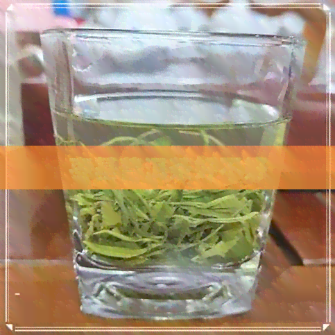 枣基普洱茶好不好