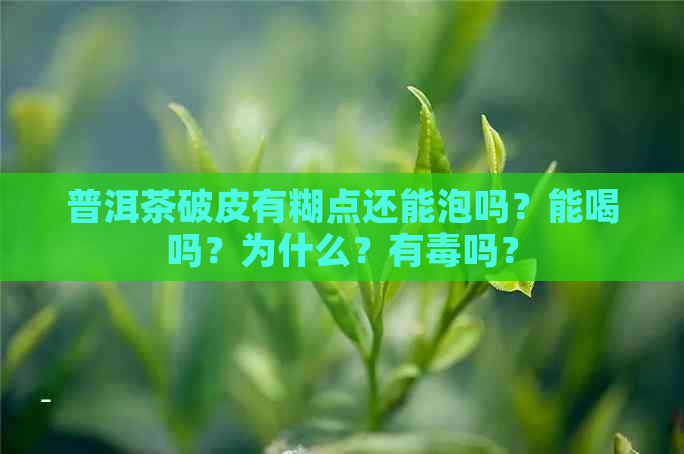 普洱茶破皮有糊点还能泡吗？能喝吗？为什么？有吗？