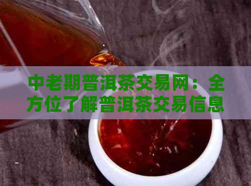 中老期普洱茶交易网：全方位了解普洱茶交易信息、市场动态与投资指南