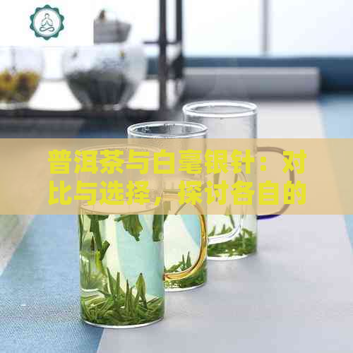 普洱茶与白毫银针：对比与选择，探讨各自的独特功效与价值