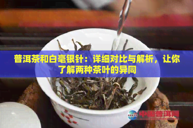 普洱茶和白毫银针：详细对比与解析，让你了解两种茶叶的异同