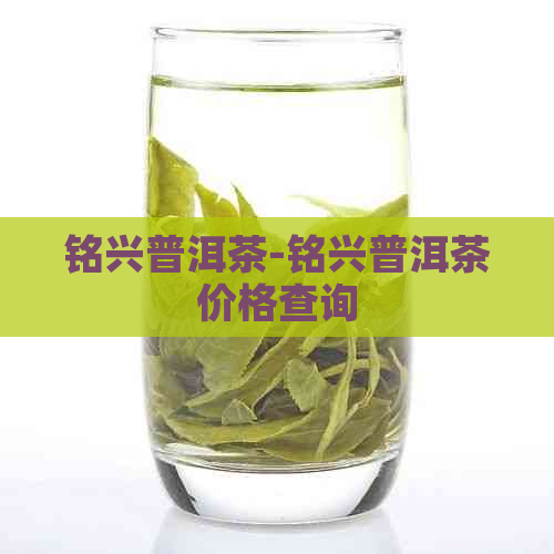 铭兴普洱茶-铭兴普洱茶价格查询