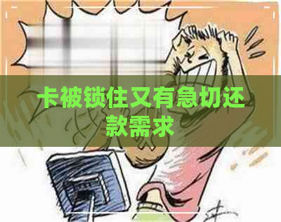 卡被锁住又有急切还款需求