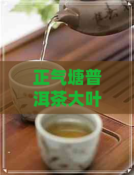 正气塘普洱茶大叶