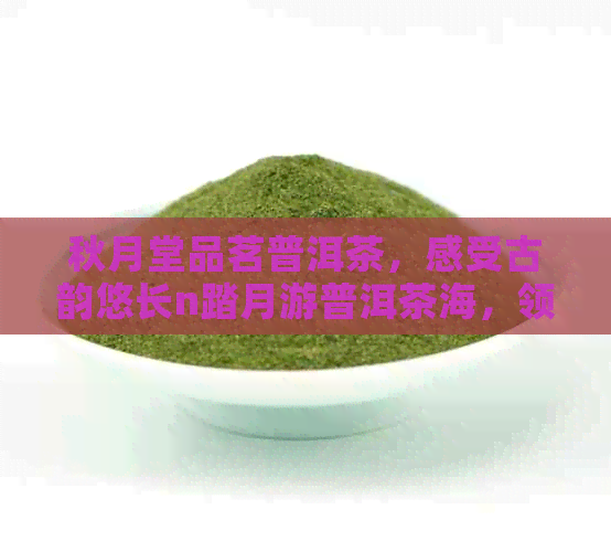 秋月堂品茗普洱茶，感受古韵悠长n踏月游普洱茶海，领略自然之美