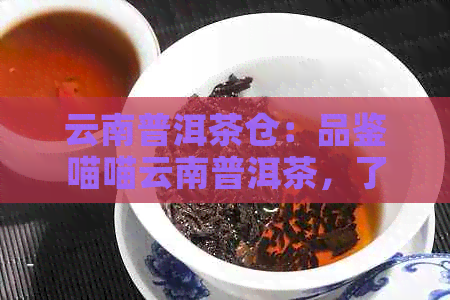 云南普洱茶仓：品鉴喵喵云南普洱茶，了解仓对茶叶品质的影响及选购技巧