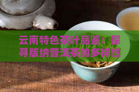 云南特色茶叶品鉴：探寻版纳普洱茶的多样性与魅力