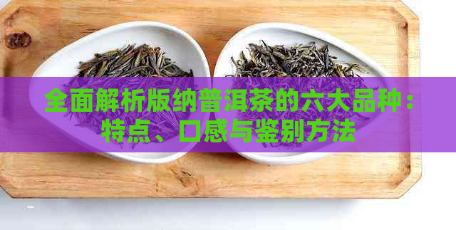 全面解析版纳普洱茶的六大品种：特点、口感与鉴别方法