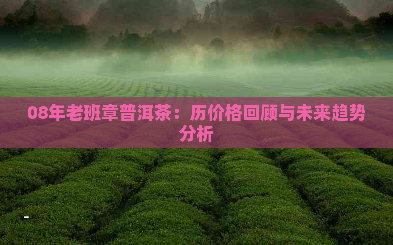 08年老班章普洱茶：历价格回顾与未来趋势分析