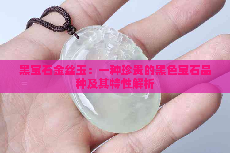 黑宝石金丝玉：一种珍贵的黑色宝石品种及其特性解析