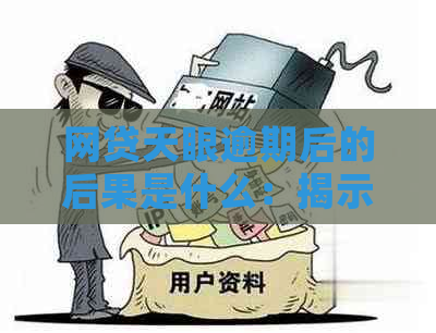 网贷天眼逾期后的后果是什么：揭示可能的负面影响和应对策略