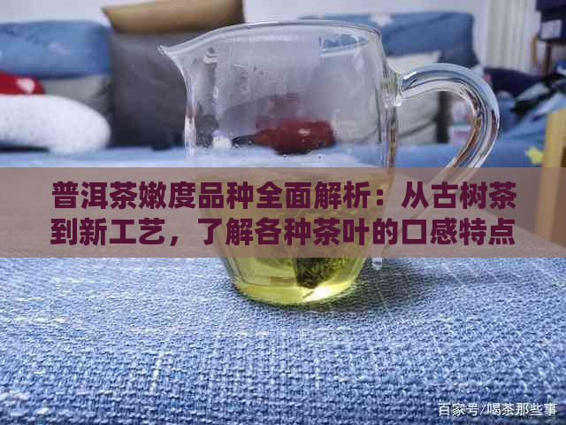 普洱茶嫩度品种全面解析：从古树茶到新工艺，了解各种茶叶的口感特点