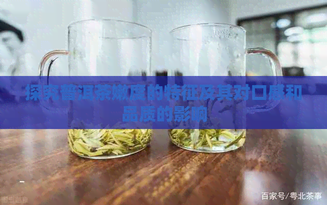 探究普洱茶嫩度的特征及其对口感和品质的影响