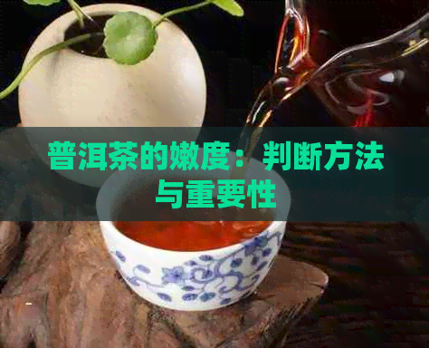 普洱茶的嫩度：判断方法与重要性