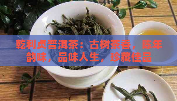 乾利贞普洱茶：古树茶香，陈年韵味，品味人生，珍藏佳品