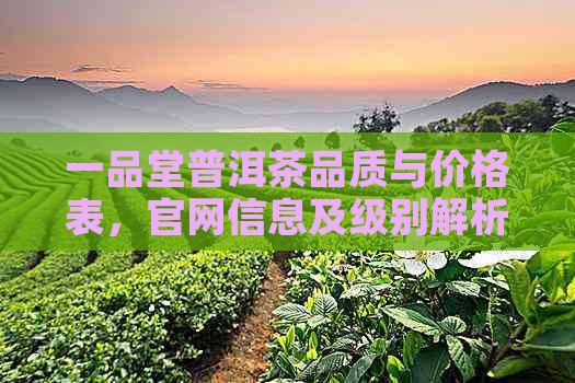 一品堂普洱茶品质与价格表，官网信息及级别解析