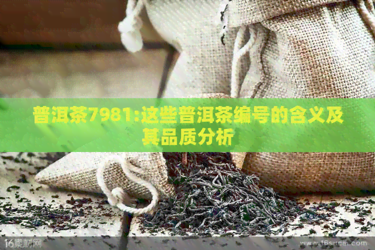 普洱茶7981:这些普洱茶编号的含义及其品质分析