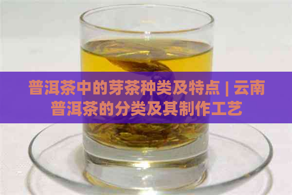 普洱茶中的芽茶种类及特点 | 云南普洱茶的分类及其制作工艺