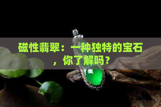 磁性翡翠：一种独特的宝石，你了解吗？