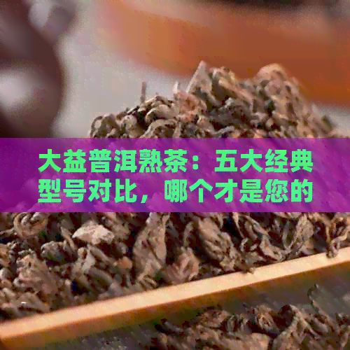 大益普洱熟茶：五大经典型号对比，哪个才是您的首选？