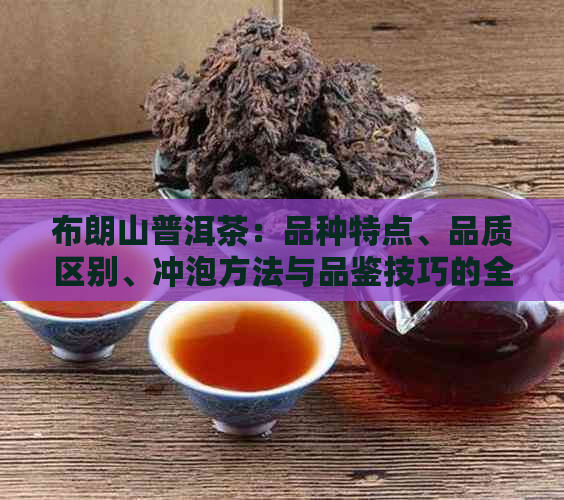 布朗山普洱茶：品种特点、品质区别、冲泡方法与品鉴技巧的全面解析