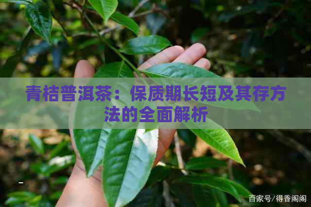 青桔普洱茶：保质期长短及其存方法的全面解析