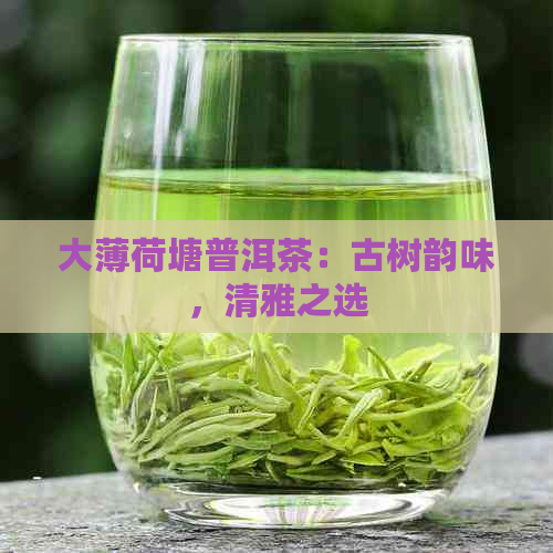 大薄荷塘普洱茶：古树韵味，清雅之选