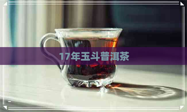 17年玉斗普洱茶