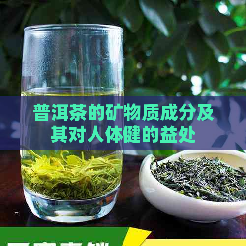 普洱茶的矿物质成分及其对人体健的益处