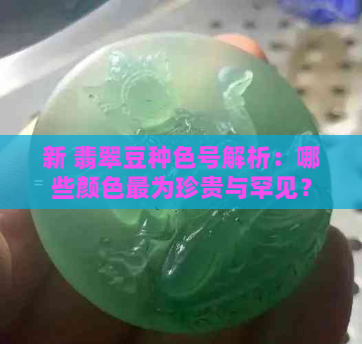 新 翡翠豆种色号解析：哪些颜色最为珍贵与罕见？