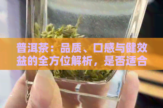 普洱茶：品质、口感与健效益的全方位解析，是否适合你的饮茶选择？