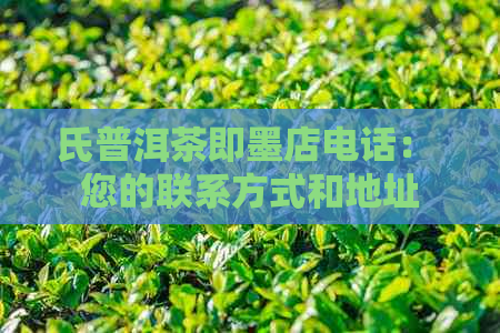 氏普洱茶即墨店电话： 您的联系方式和地址