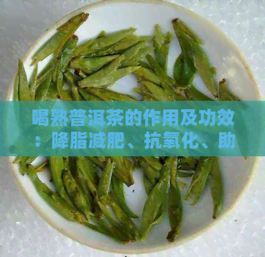 喝熟普洱茶的作用及功效：降脂减肥、抗氧化、助消化、缓情绪。