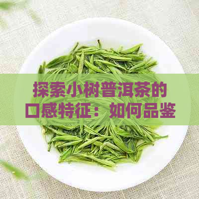 探索小树普洱茶的口感特征：如何品鉴与评价？