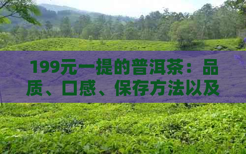 199元一提的普洱茶：品质、口感、保存方法以及购买渠道全面解析