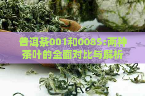 普洱茶001和0085:两种茶叶的全面对比与解析