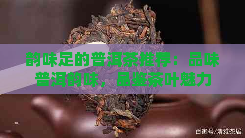 韵味足的普洱茶推荐：品味普洱韵味，品鉴茶叶魅力